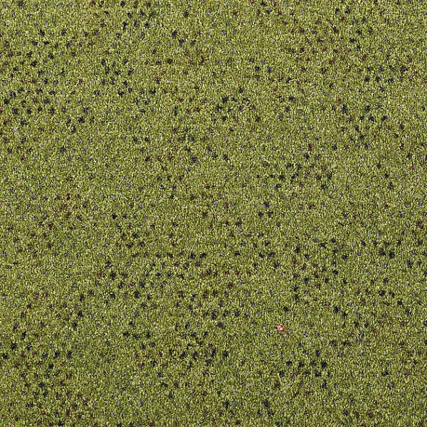 Girloon Caprice 440 – Draufsicht auf Girloon Caprice 440, zeigt eine gleichmäßige, samtige Oberfläche in elegantem Farbton.